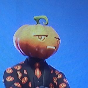 Meet your Posher, Riley